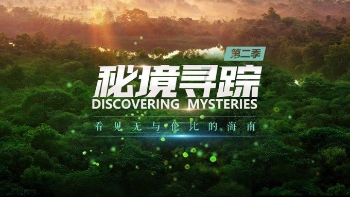 花瓶粉碎者